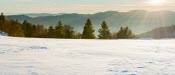 La neige en temps réel